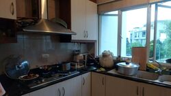 Seng Yong Villas (D14), Terrace #543440771